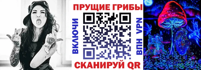 kraken ТОР  Райчихинск  Псилоцибиновые грибы мицелий 